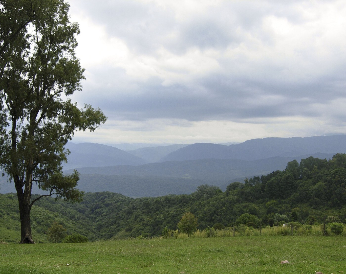 Green slopes at San Javier, Tucumán