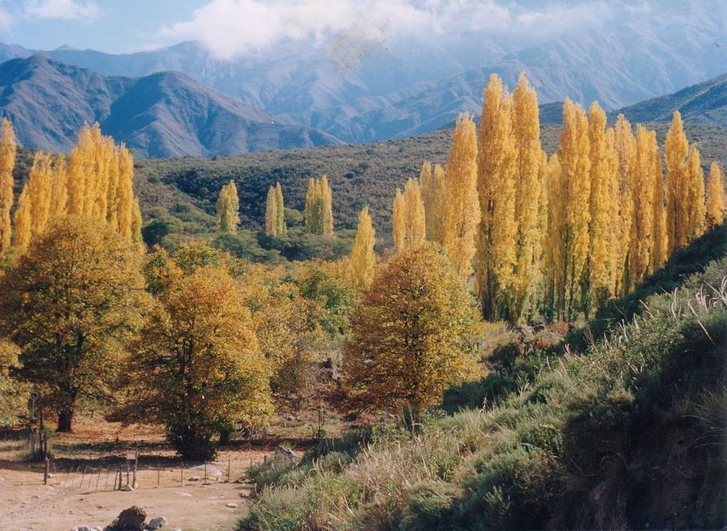 Landscape in the Famatina valleys