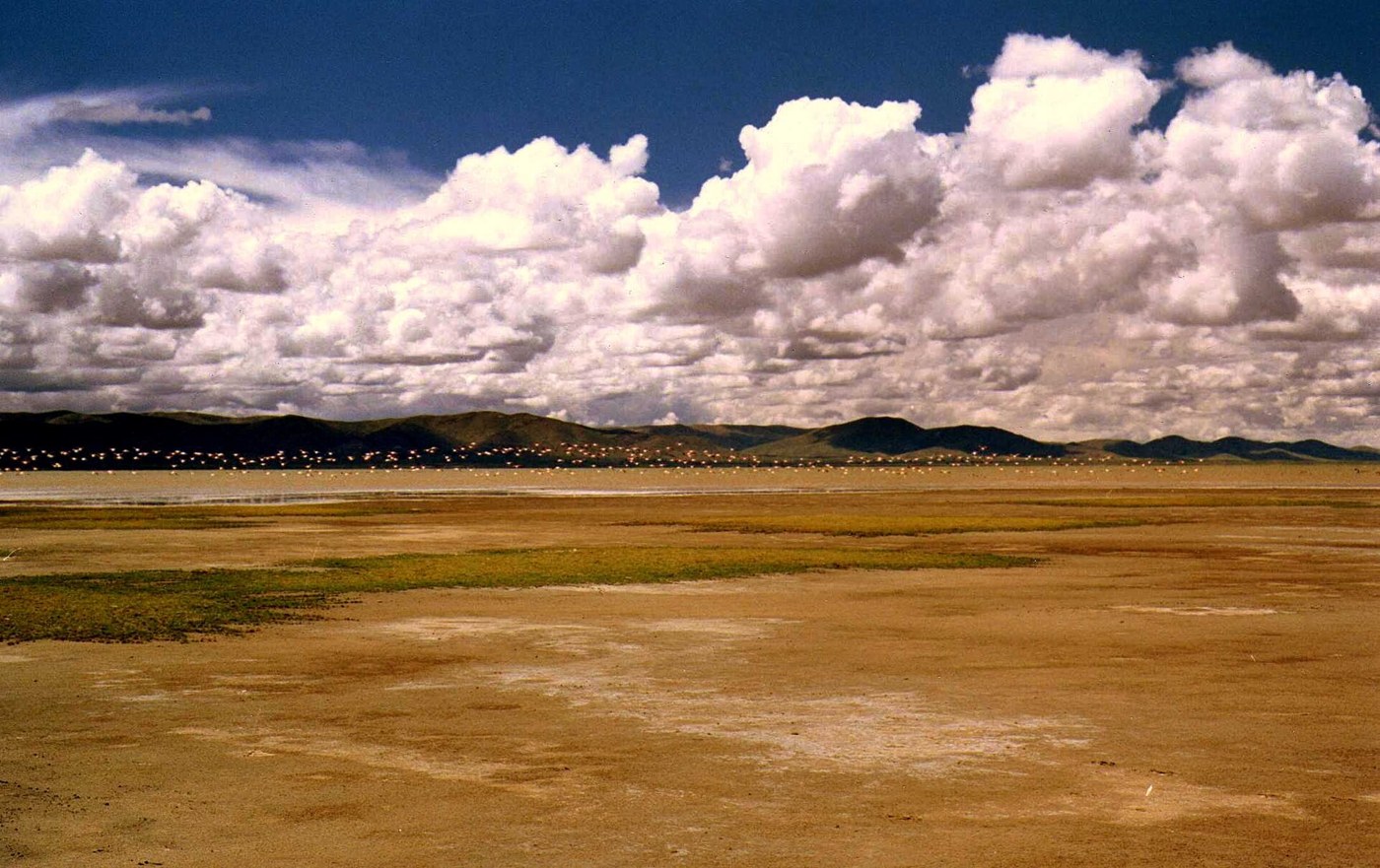 Laguna de los Pozuelos Natural Monument, Jujuy
