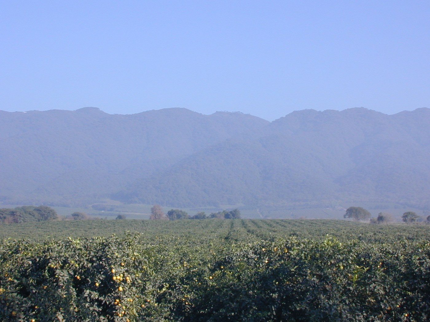 Sierra de San Javier, Tucumán