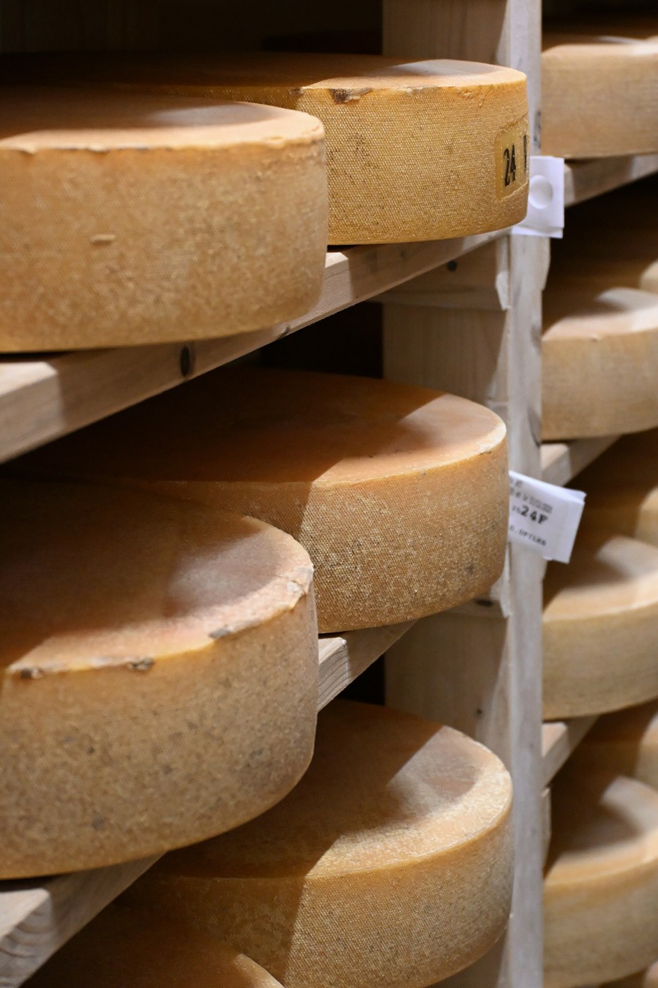 Cheeses in a ripening cellar in Herve, Belgium; process illustration, not a Tafí producer