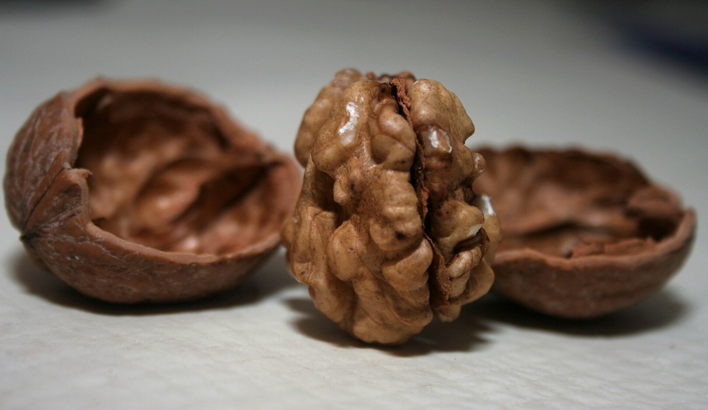 Walnut kernel and shells; ingredient image