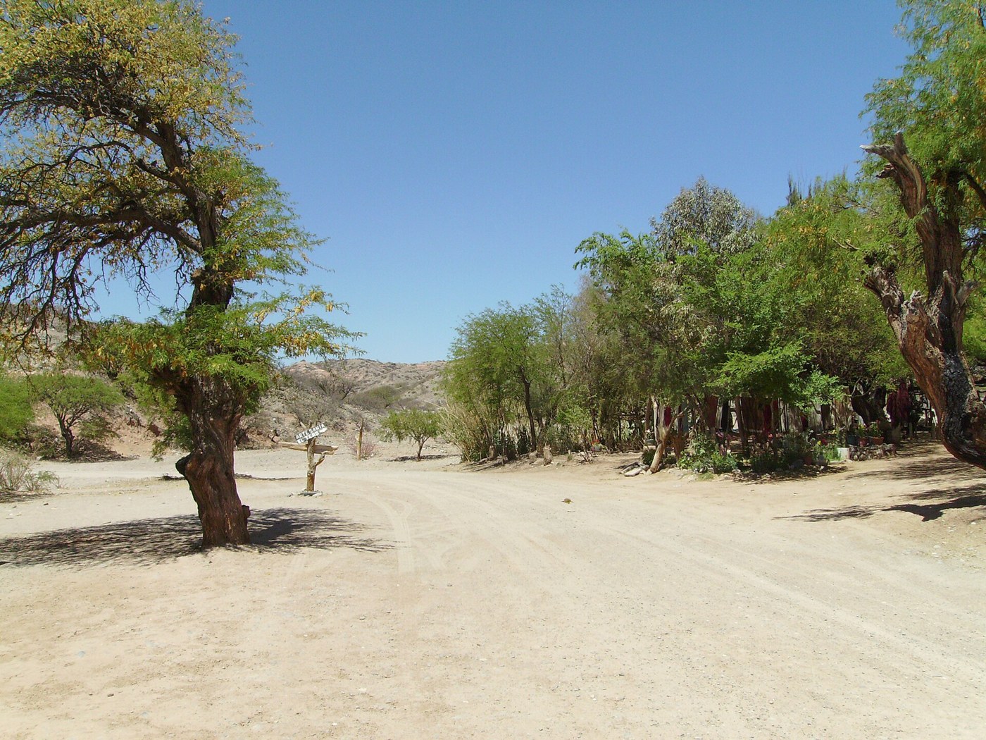 Route 40 in Molinos, Salta