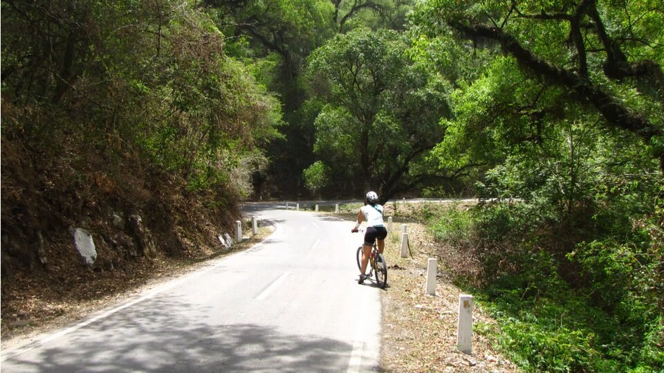 National Route 9's winding road between Salta and Jujuy