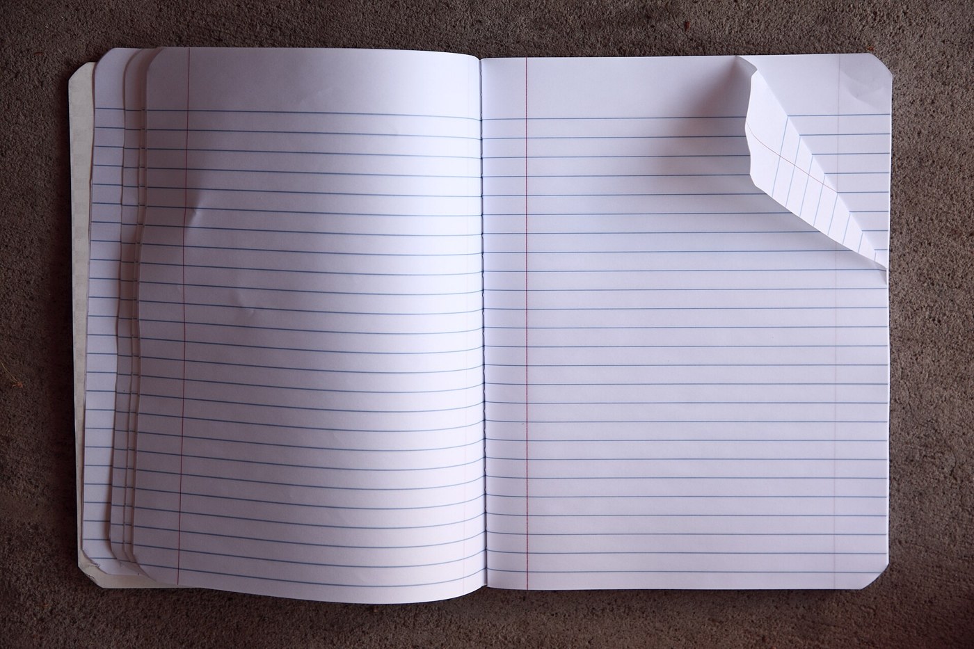 Blank notebook pages for preparing questions